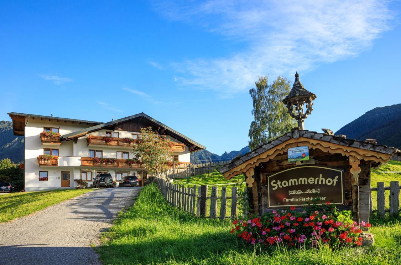 Pension Stammerhof Шладминг Экстерьер фото