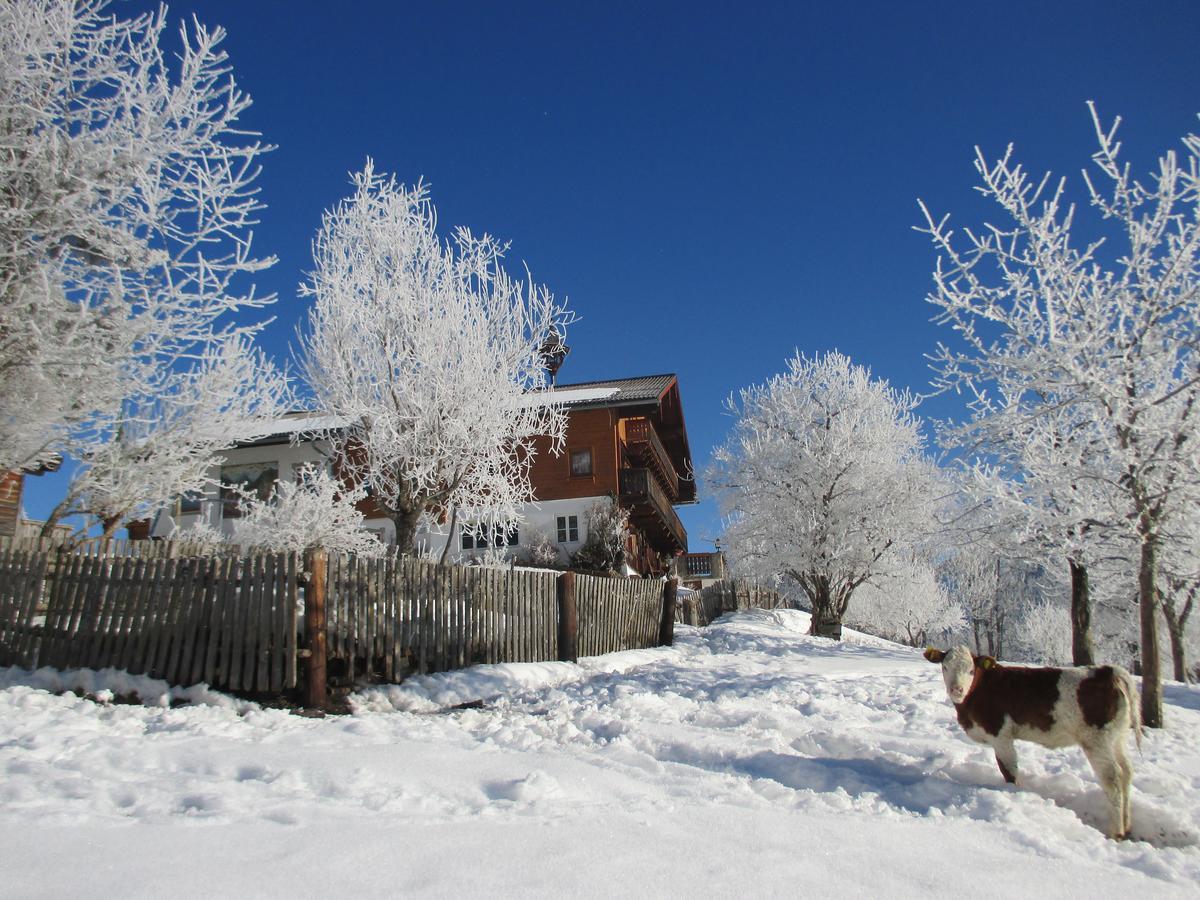 Pension Stammerhof Шладминг Экстерьер фото